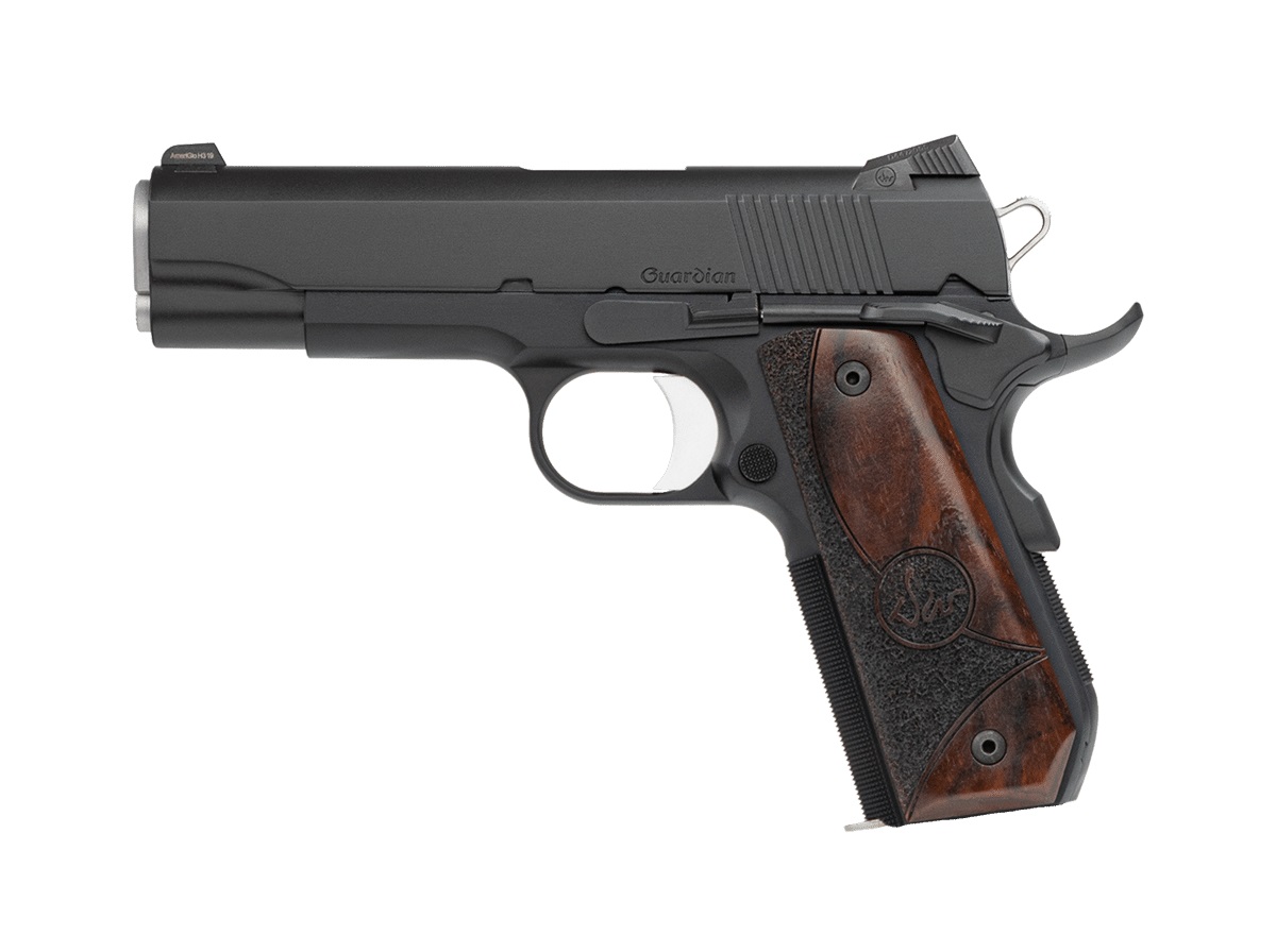 CZ Dan Wesson Guardian 9mm