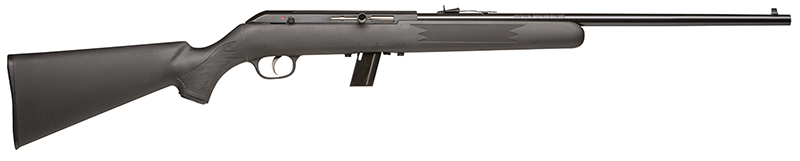 Savage Arms 64 F 22 LR