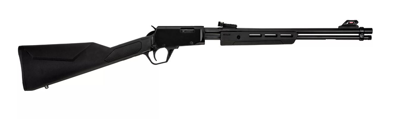 Rossi Gallery 22 LR