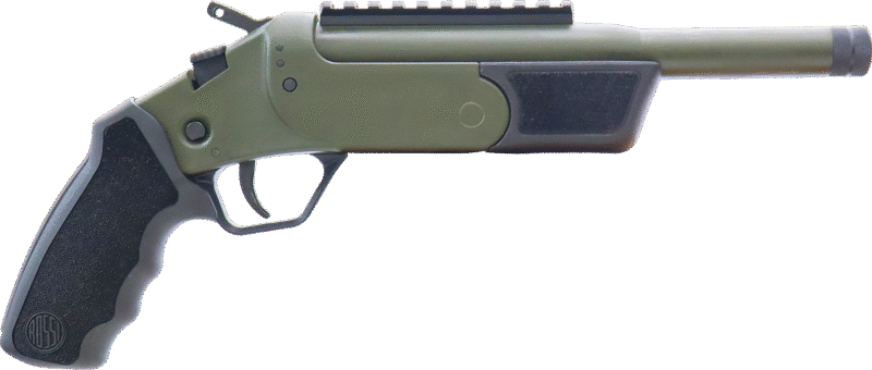 Rossi Brawler 300 AAC Blackout