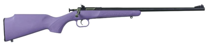 Keystone Sporting Arms Crickett 22 LR