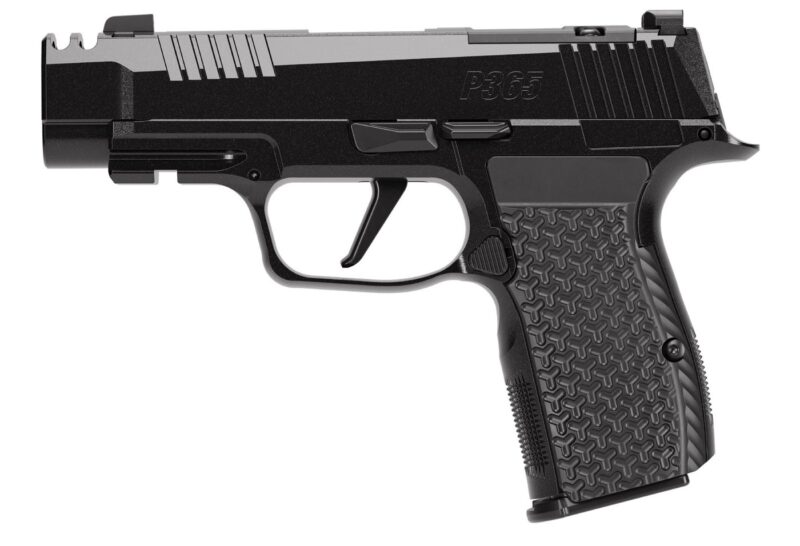 SIG Sauer P365 AXG Luxe 380 ACP