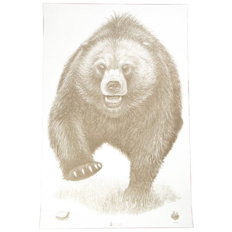 Action Target Alaska State Parks Bear Target 23″x35″ 100 Per Box