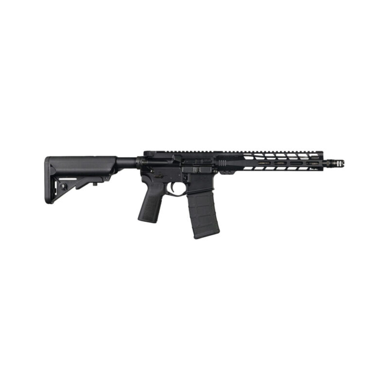 LanTac USA LLC SF15 CQB Semi-automatic 223 Wylde 11.5″ Barrel 30 Rounds Black