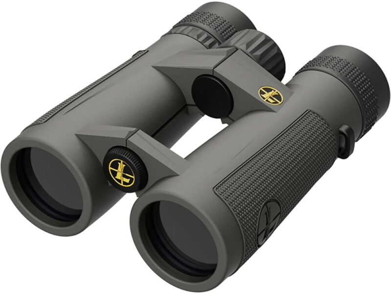 Leupold BX-5 Santiam HD 10x Shadow Gray Armor Coated