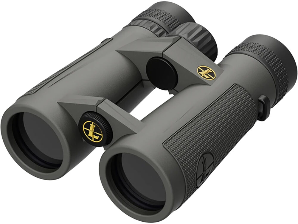 Leupold BX-5 Santiam HD 10x Shadow Gray Armor Coated