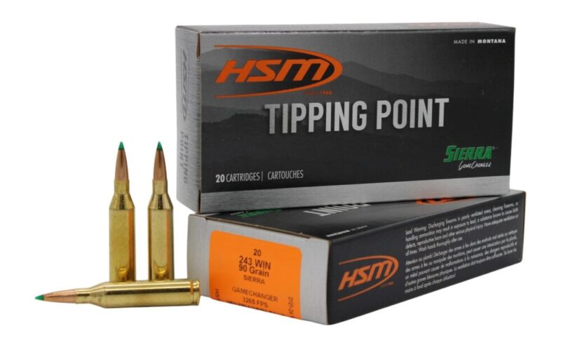 Hsm Tipping Point Hunting 243 Win 90 gr Sierra GameChanger 20 rd