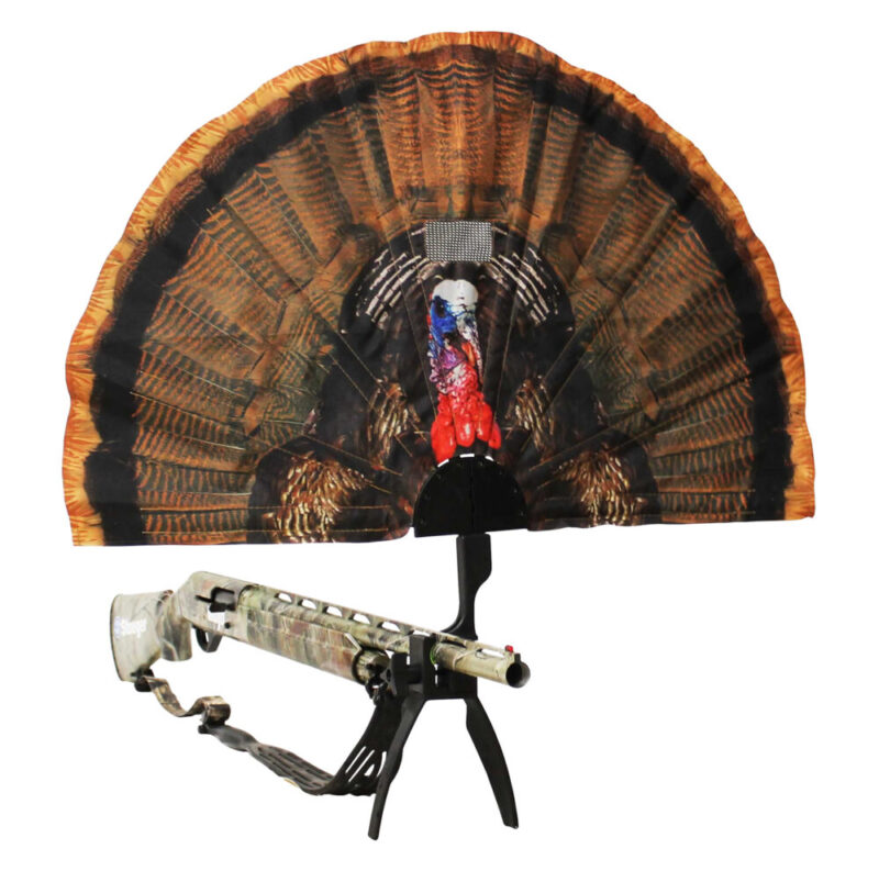 Mojo Tail Chaser Max Multi-Color