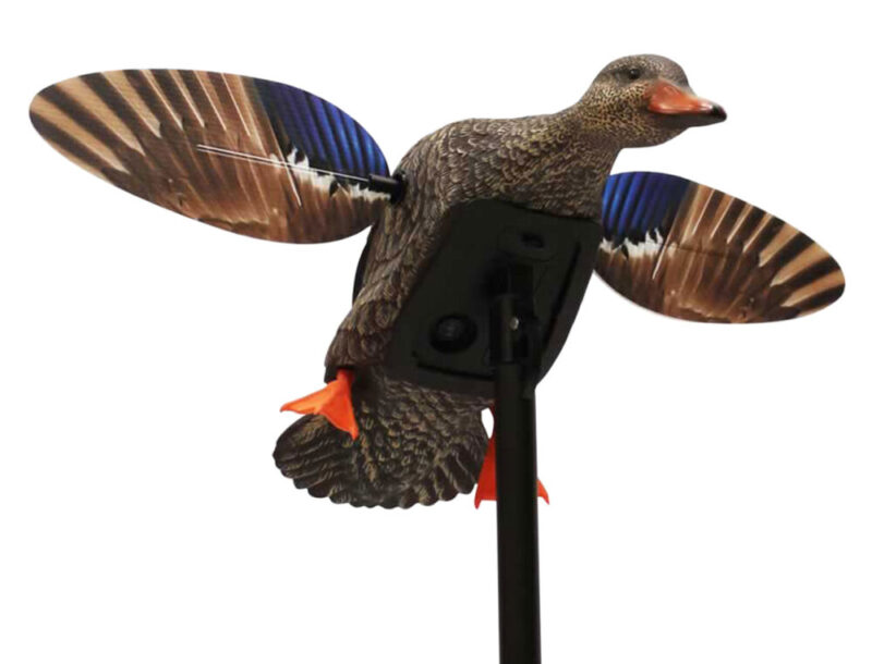 Mojo Elite Series Mini Hen Multi-Color