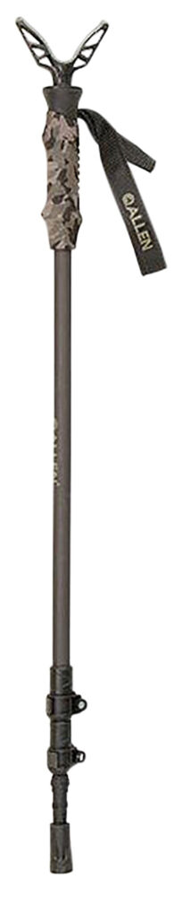 Allen Company Axial Carbon Atom
