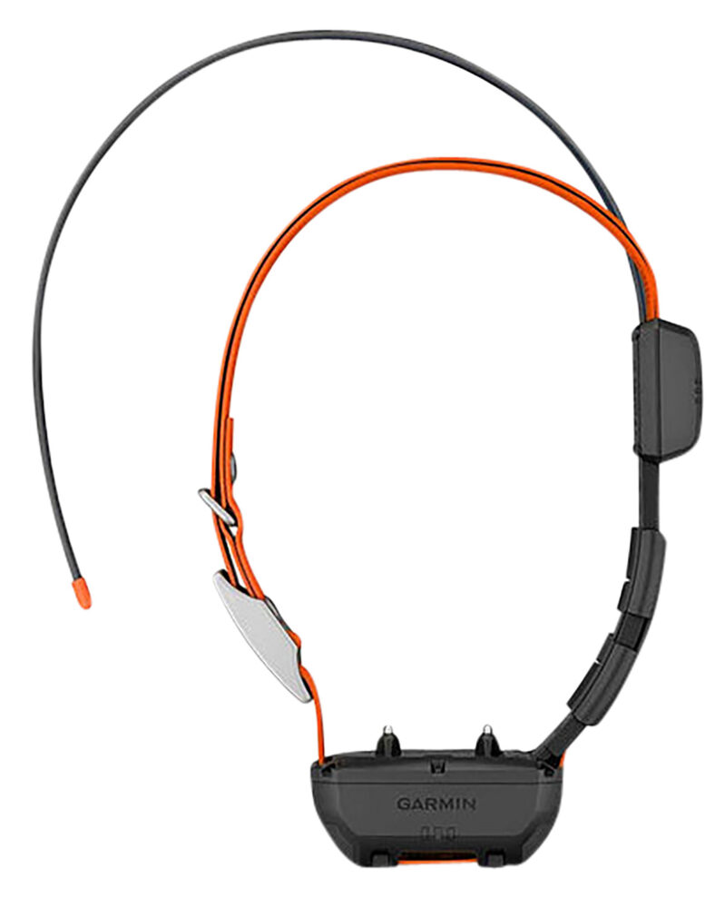 Garmin TT 25 Alpha Dog Collar Black/Orange