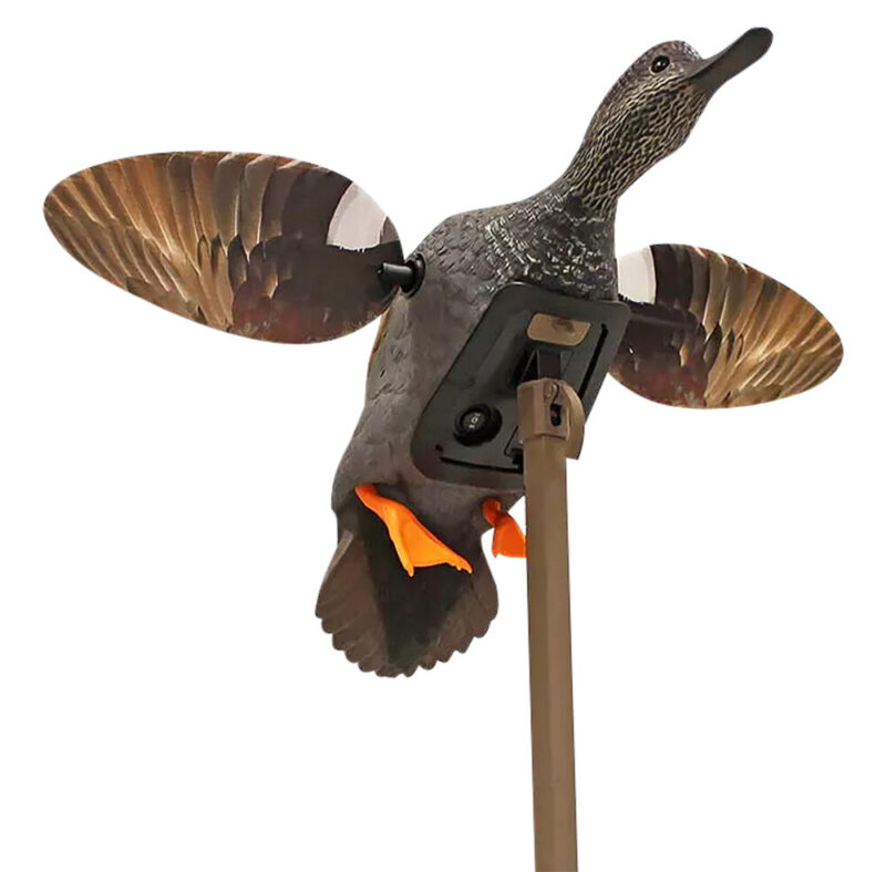 Mojo Elite Series Gadwall Multi-Color