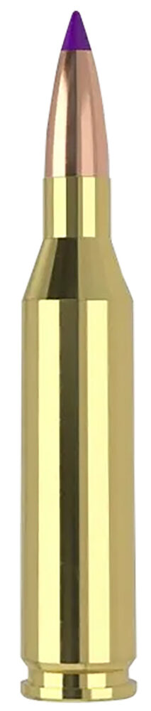 Nosler 40041 243win 70gr Ballistic Tip Varmint 20 Per Box/10 Case 243 Win 70 gr 20 rd