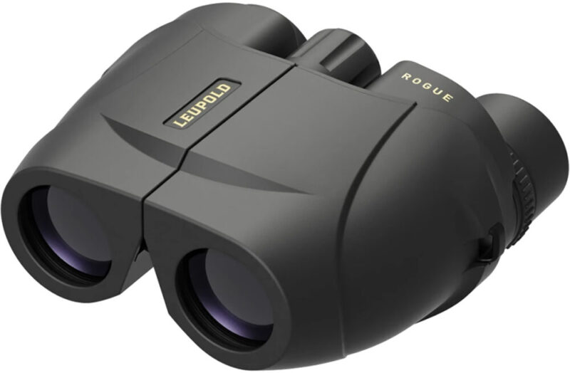 Leupold BX-1 Rogue 8x
