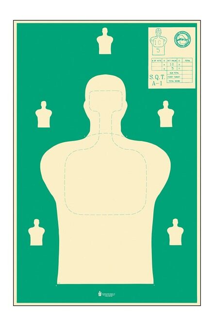 Action Target Action Sqta-1-100 Georgia Pub Safety 100bx