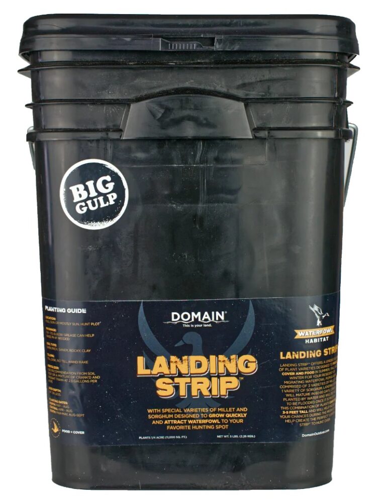 Allen/domain Outdoor Domain Lsfp5 Landing Strip