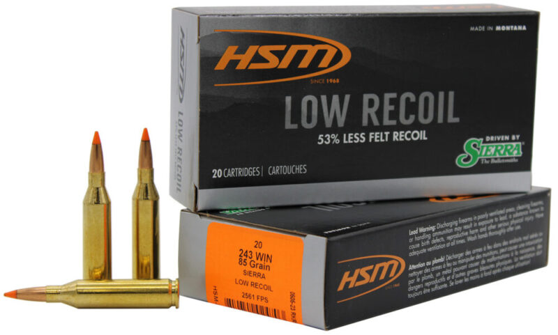 Hsm Low Recoil Hunting 243 Win 85 gr Orange Polymer Tip 20 rd