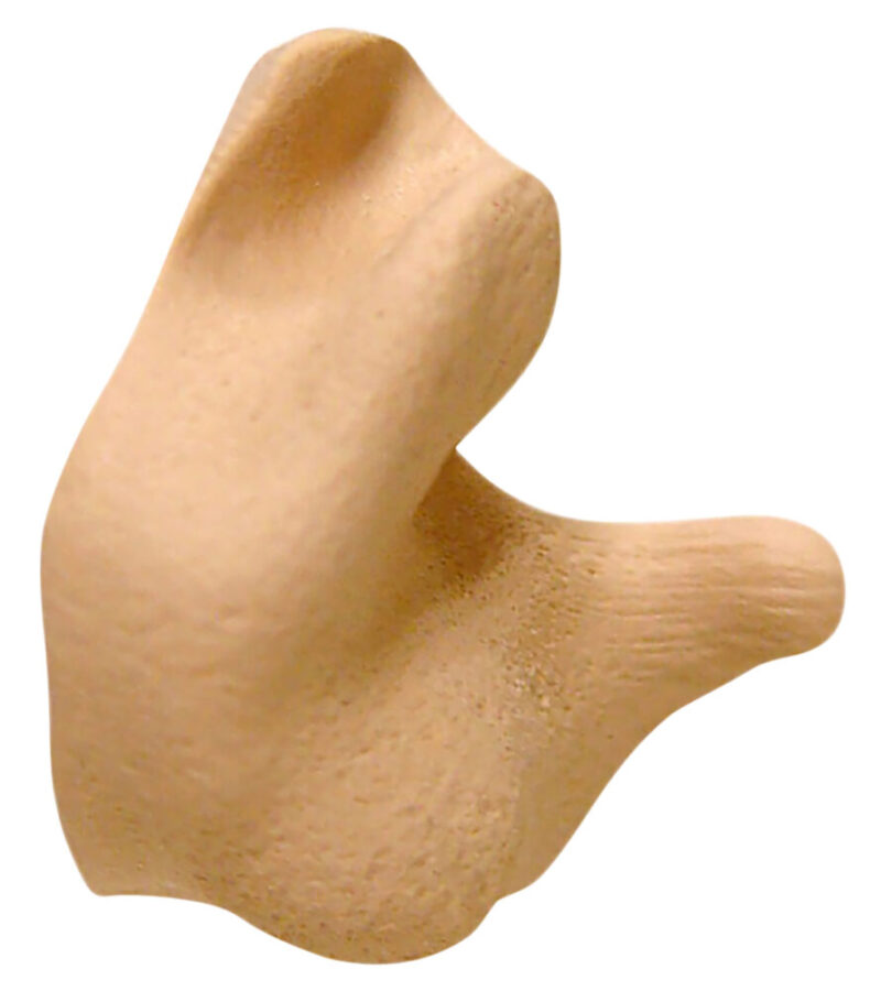 Radians Custom Molded Earplugs Tan