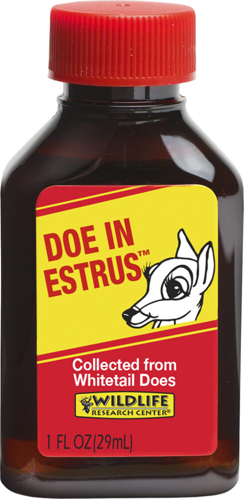 Wildlife Research Doe In Estrus
