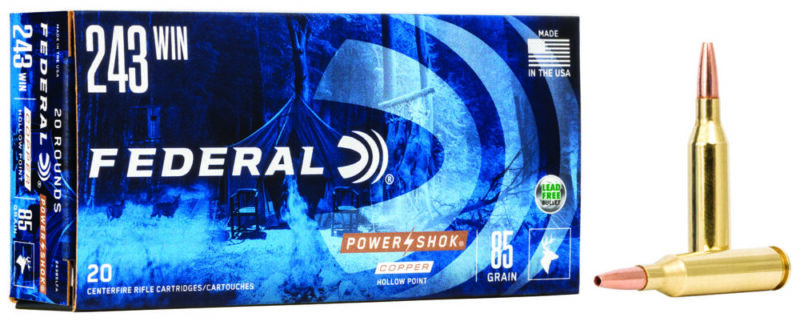Federal Power-Shok Hunting 243 Win 85 gr Copper Hollow Point 20 rd